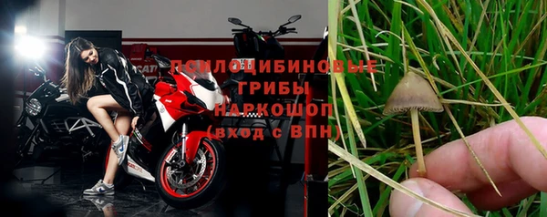 спиды Рославль