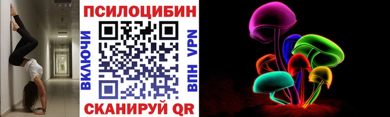 Псилоцибиновые грибы прущие грибы  kraken ссылки  Валдай 